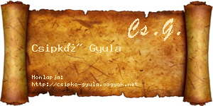 Csipkó Gyula névjegykártya